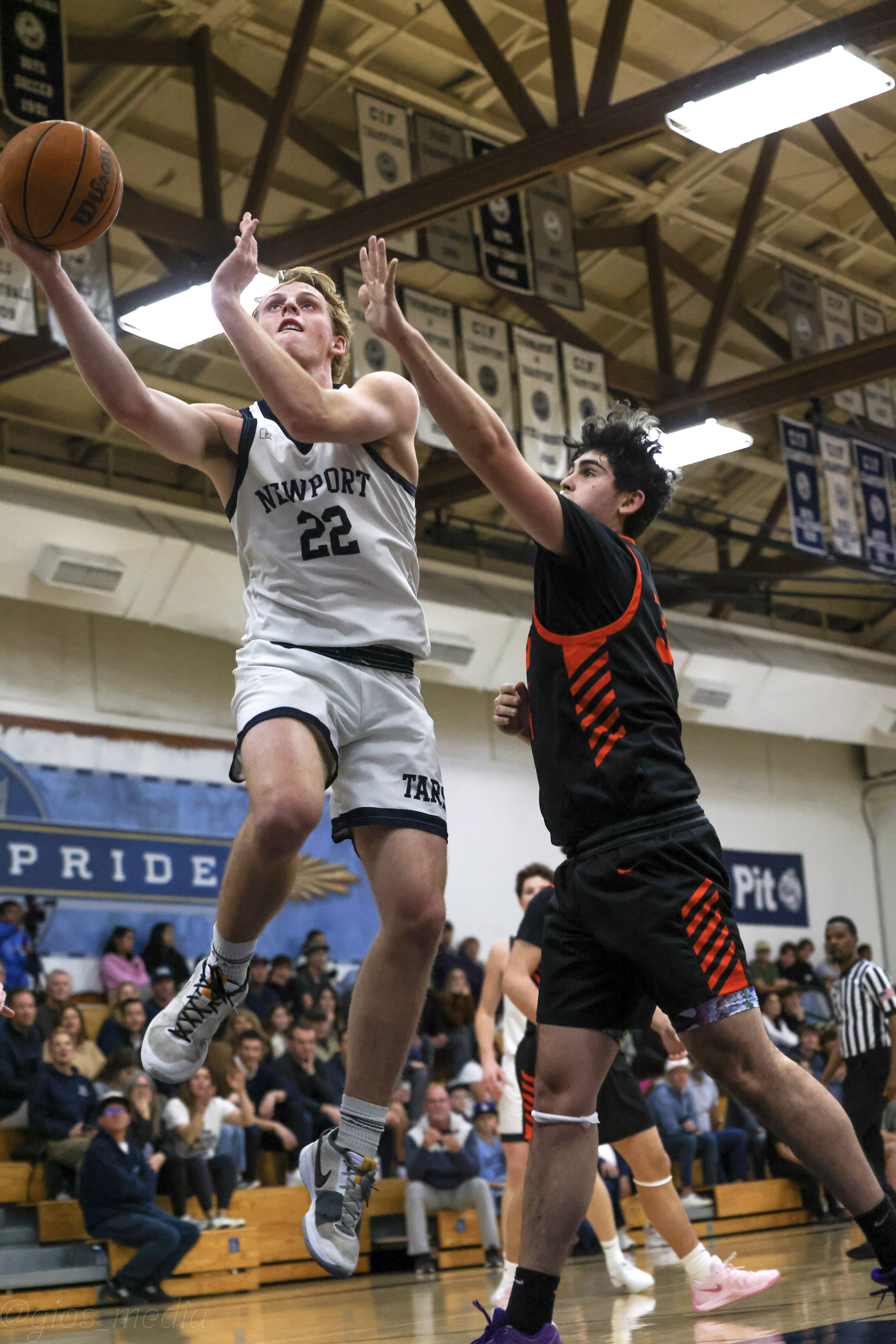 gav layup